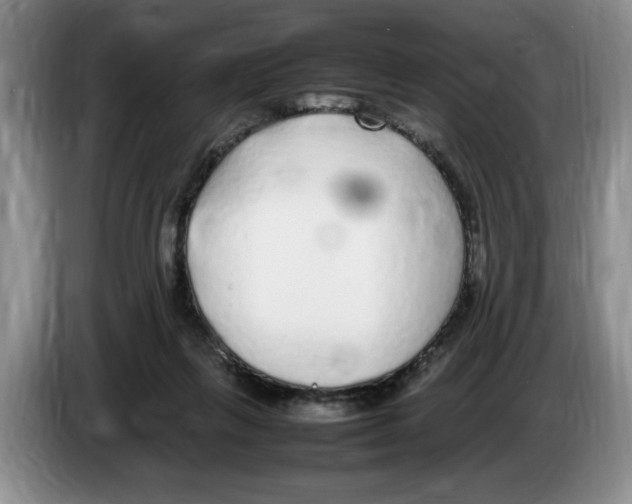 X0000083600263200703091747