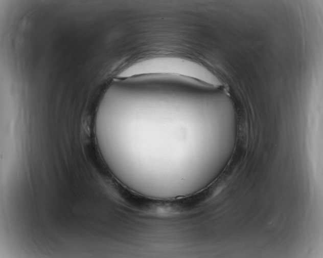 X0000083600264200703091747