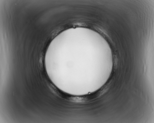 X0000083600265200703091747