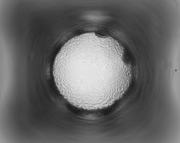 X0000083600267200703091747