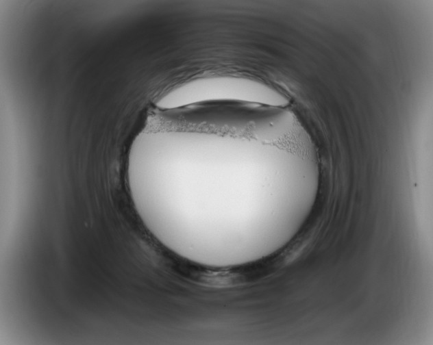 X0000083600269200703091747