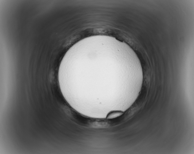 X0000083600270200703091747