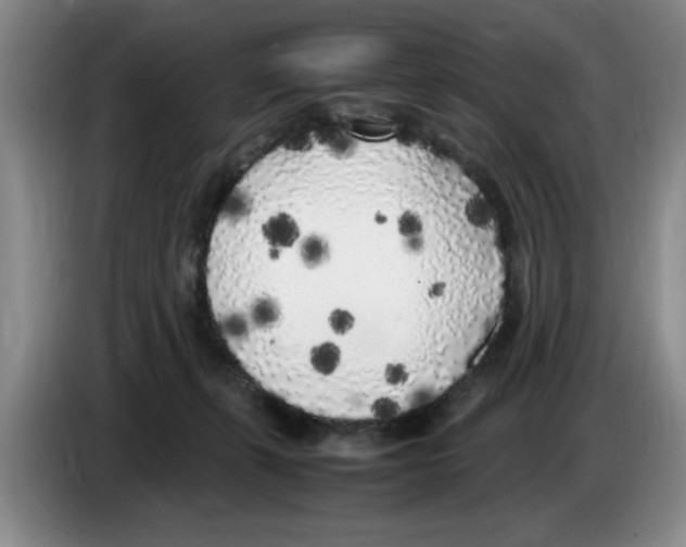 X0000083600271200703091747