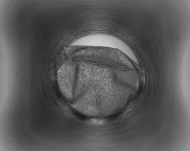 X0000083600272200703091747