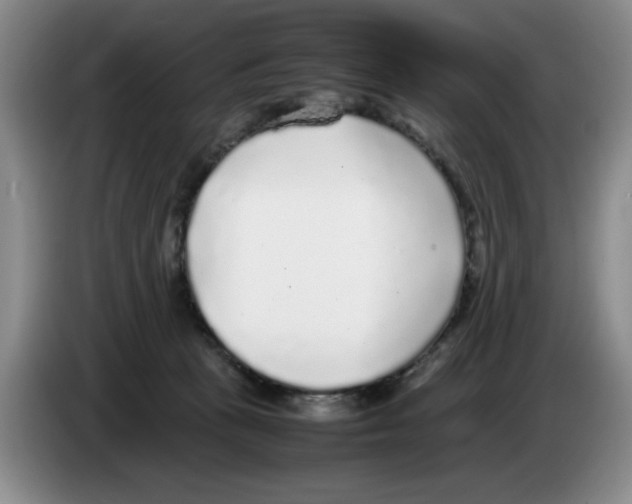 X0000083600273200703091747