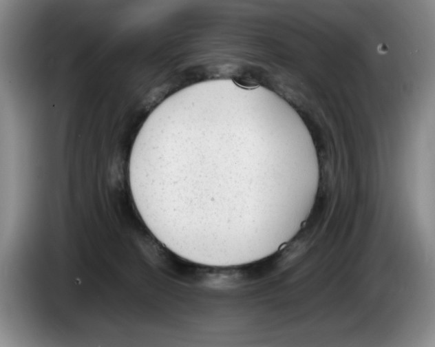 X0000083600274200703091747