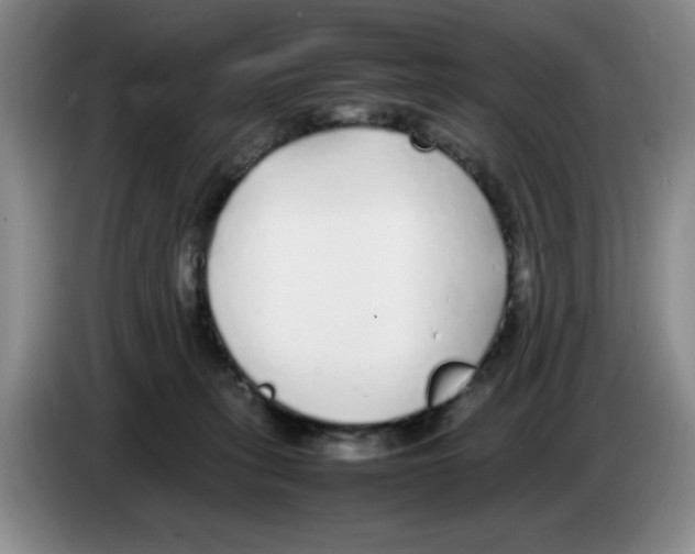 X0000083600275200703091747