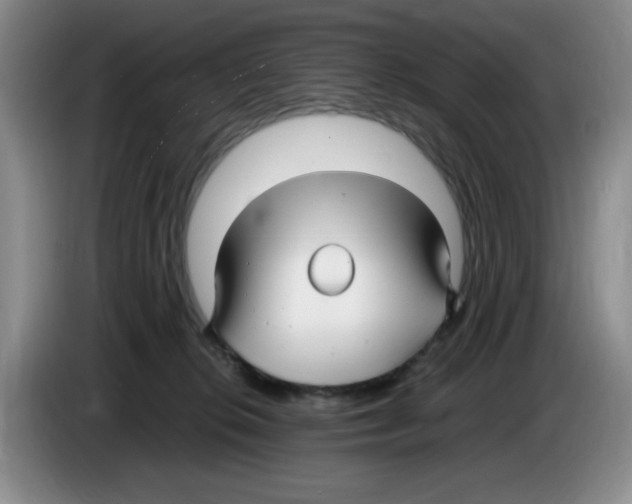 X0000083600276200703091747