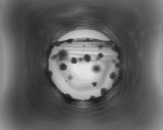 X0000083600277200703091747
