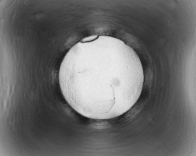 X0000083600278200703091747