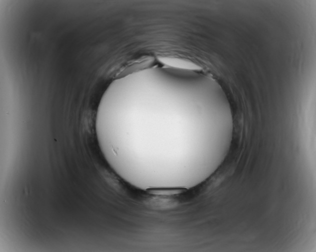 X0000083600280200703091747