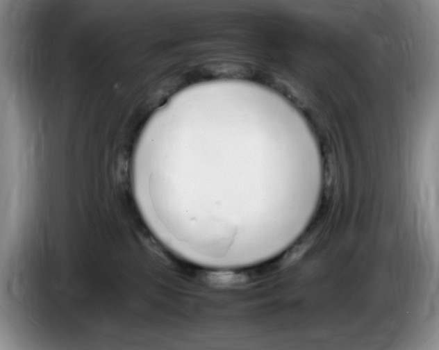 X0000083600281200703091747