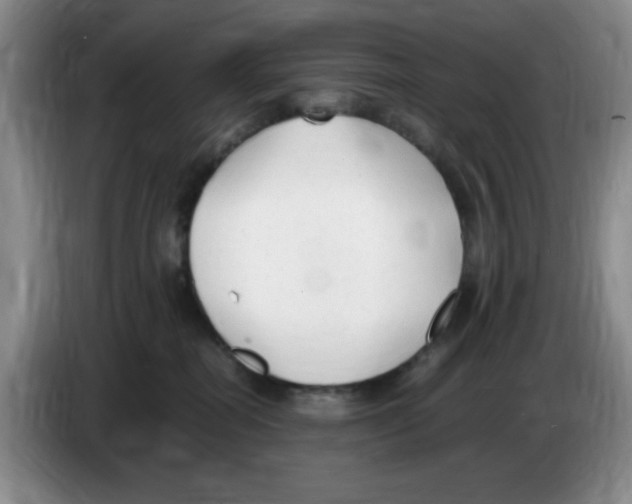 X0000083600282200703091747