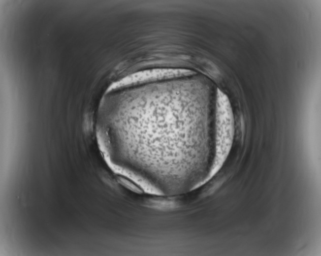 X0000083600284200703091747