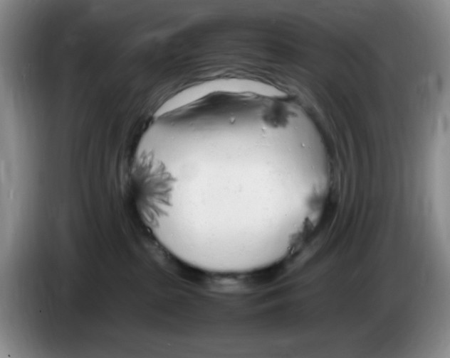 X0000083600285200703091747