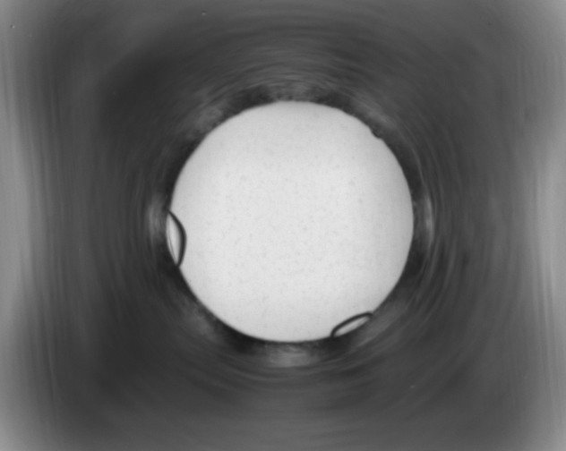 X0000083600287200703091747