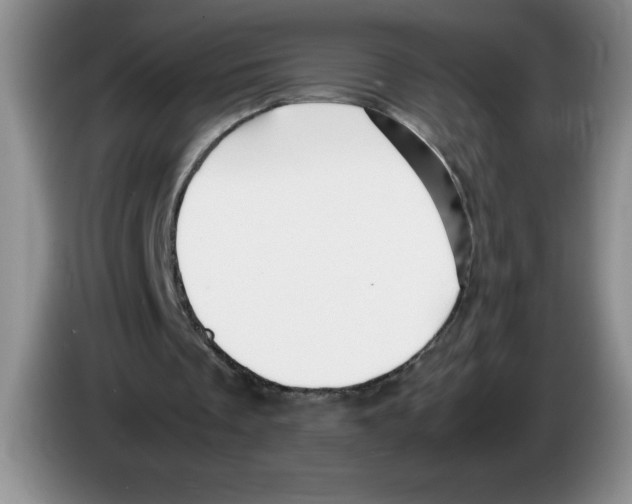 X0000083600289200703091747