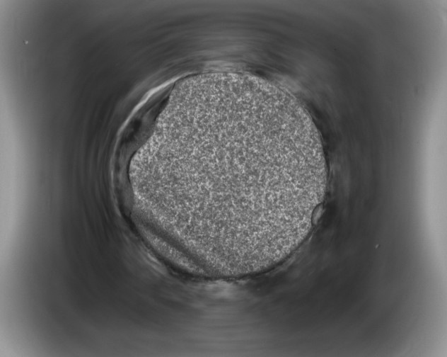 X0000083600290200703091747