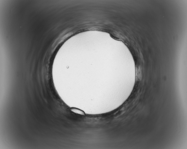 X0000083600291200703091747