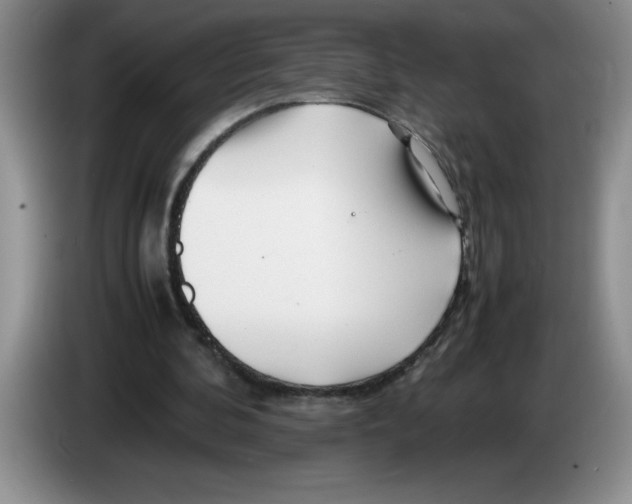 X0000083600292200703091747