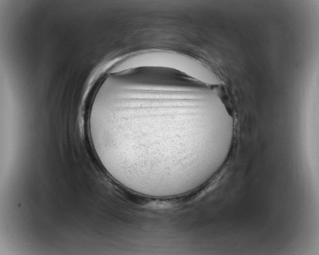 X0000083600294200703091747