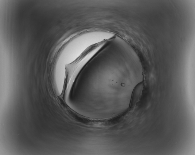 X0000083600295200703091747