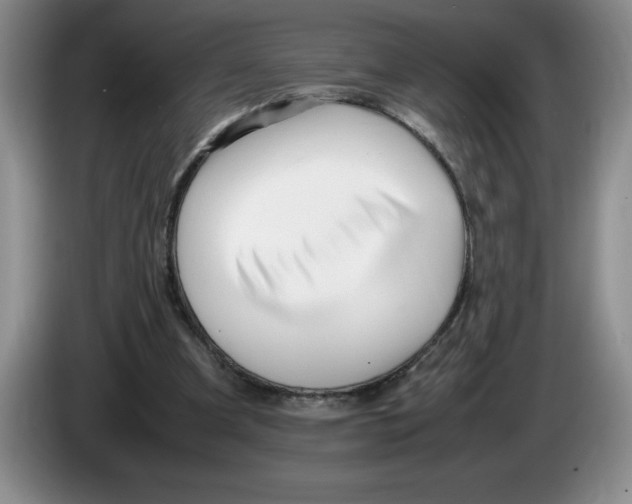 X0000083600297200703091747