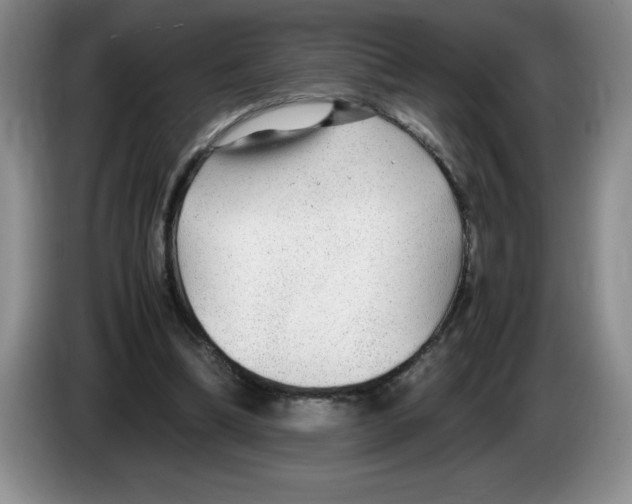 X0000083600298200703091747