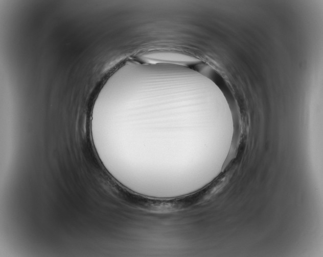 X0000083600301200703091747