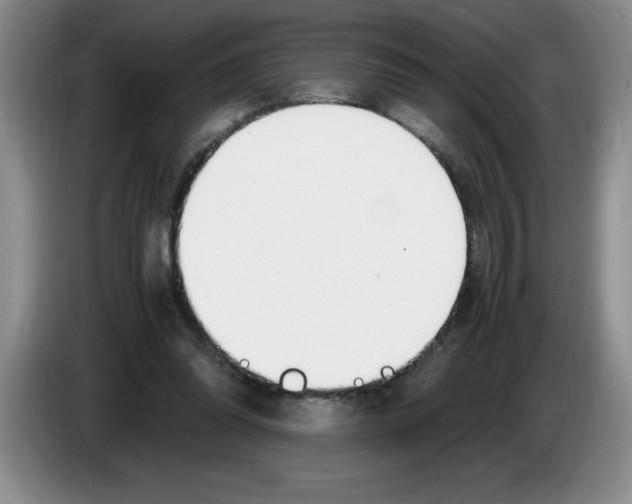 X0000083600302200703091747