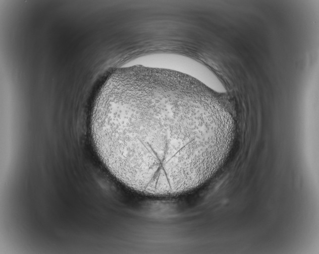 X0000083600303200703091747