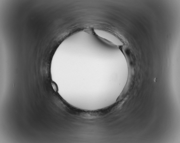 X0000083600305200703091747