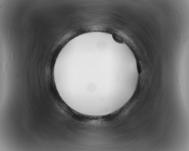 X0000083600306200703091747