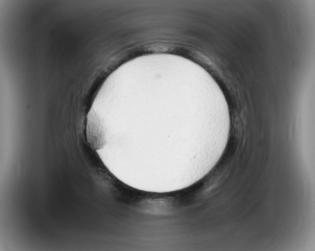 X0000083600307200703091747