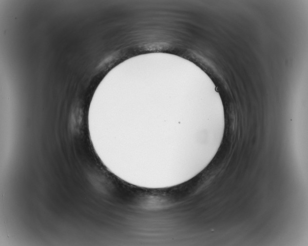 X0000083600308200703091747