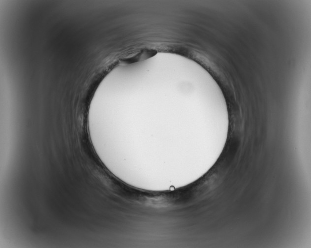 X0000083600309200703091747