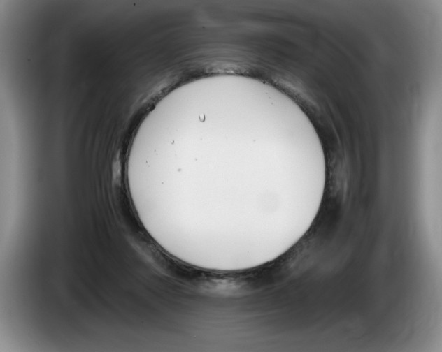 X0000083600310200703091747