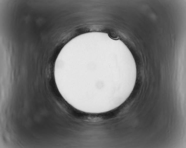 X0000083600311200703091747