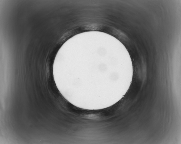 X0000083600312200703091747