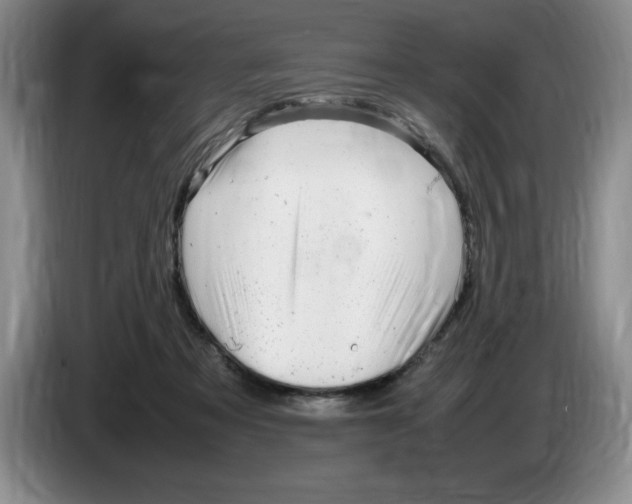 X0000083600313200703091747