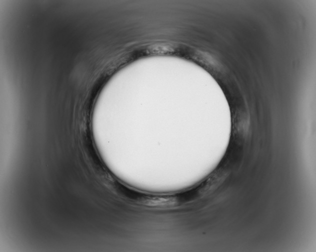 X0000083600315200703091747