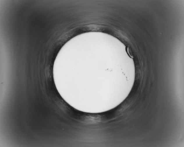 X0000083600317200703091746