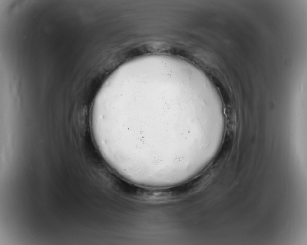 X0000083600319200703091746