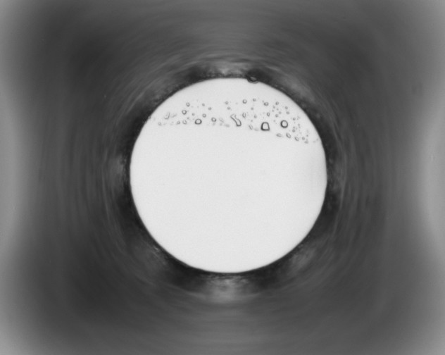 X0000083600321200703091746