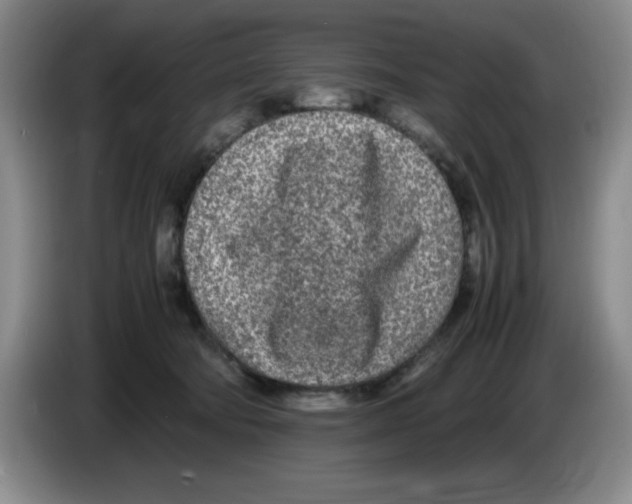 X0000083600322200703091746