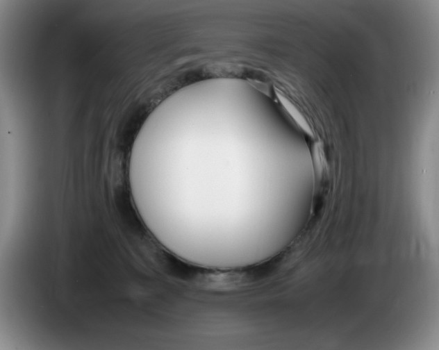 X0000083600323200703091746