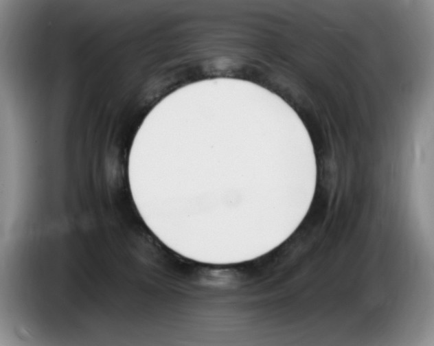 X0000083600324200703091746