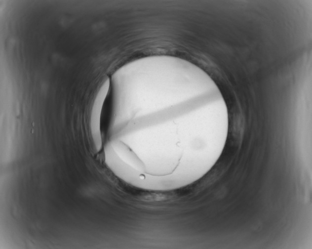 X0000083600326200703091746