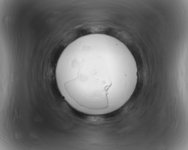 X0000083600327200703091746