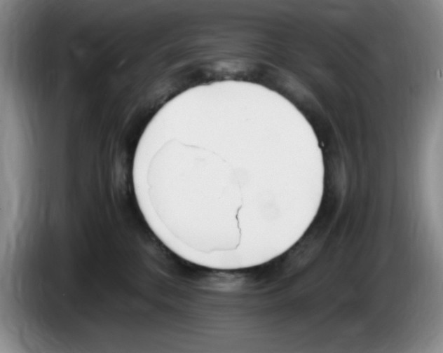 X0000083600328200703091746